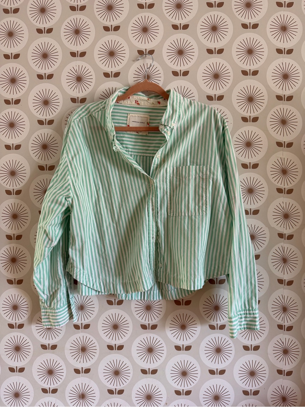 American Eagle Outfitters Mint Green and White Striped Top